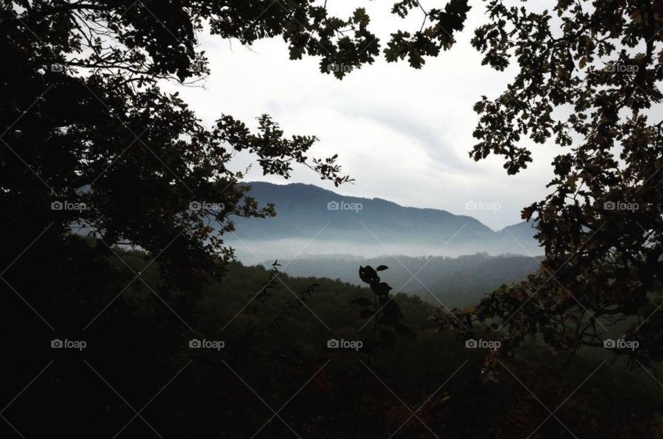 Evian Mountain Landscape