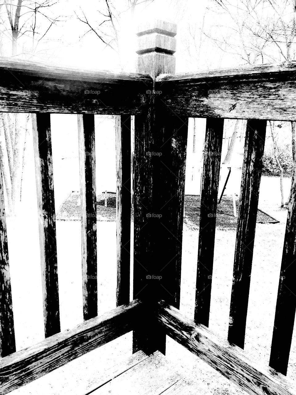 Fun photos taken as walking through nature sites seeing what all nature has to offer! 