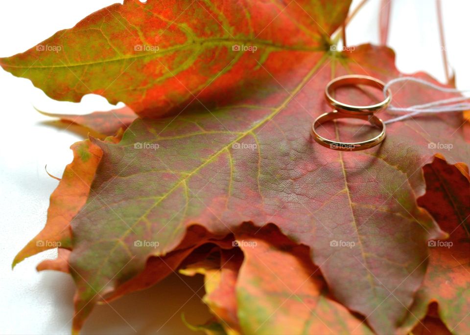 wedding rings autumn time, lifestyle