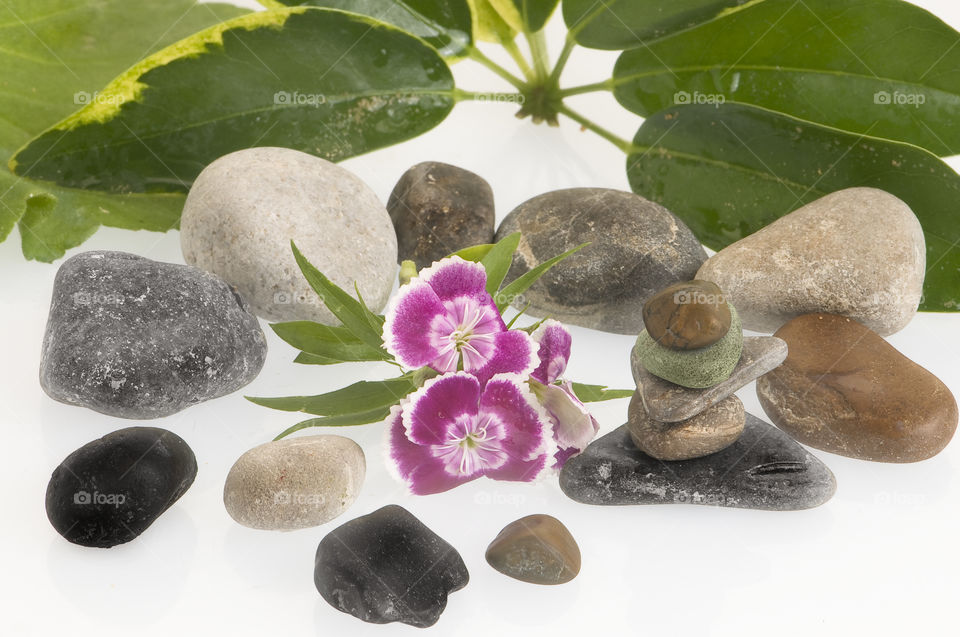 Stones flowers and leaves to reflect