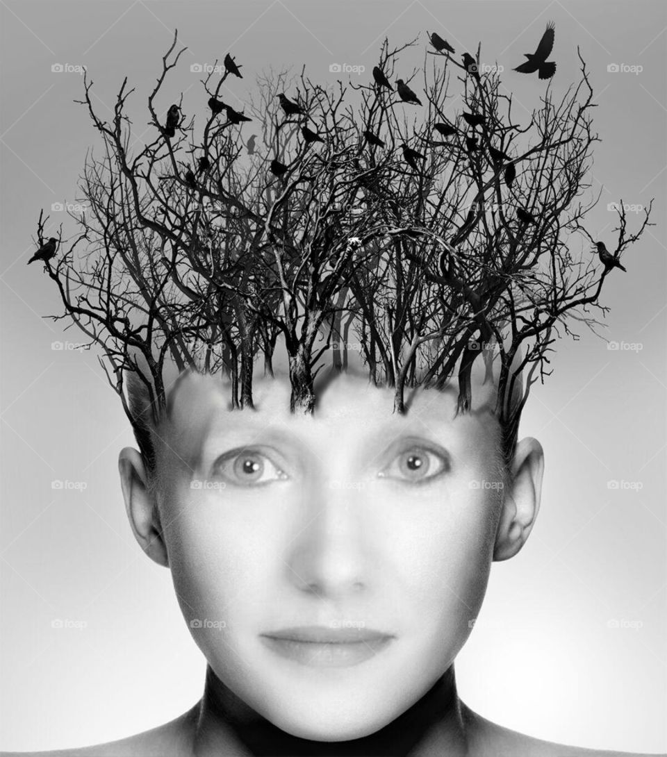 Birds perching on bare tree over woman head 