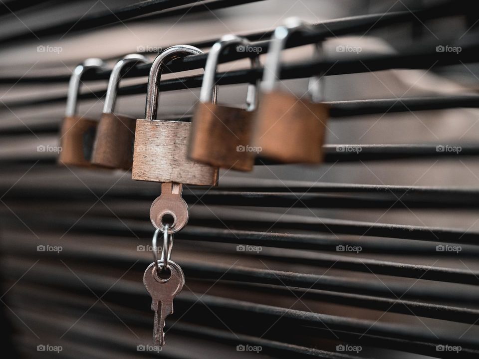 Close-up of padlocks