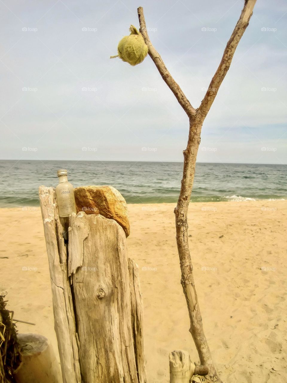 Beach art with driftwood and rubbish.