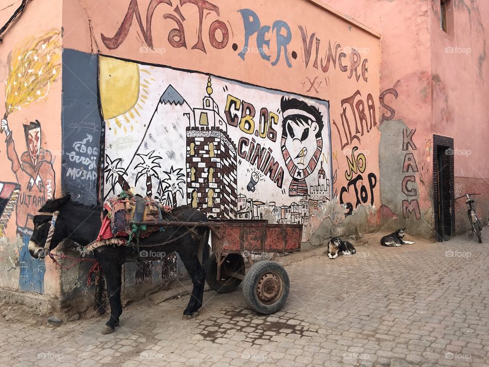 Marrakech graffiti 