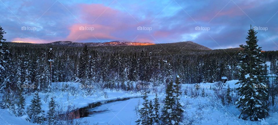 Pink skies reflecting in the pond