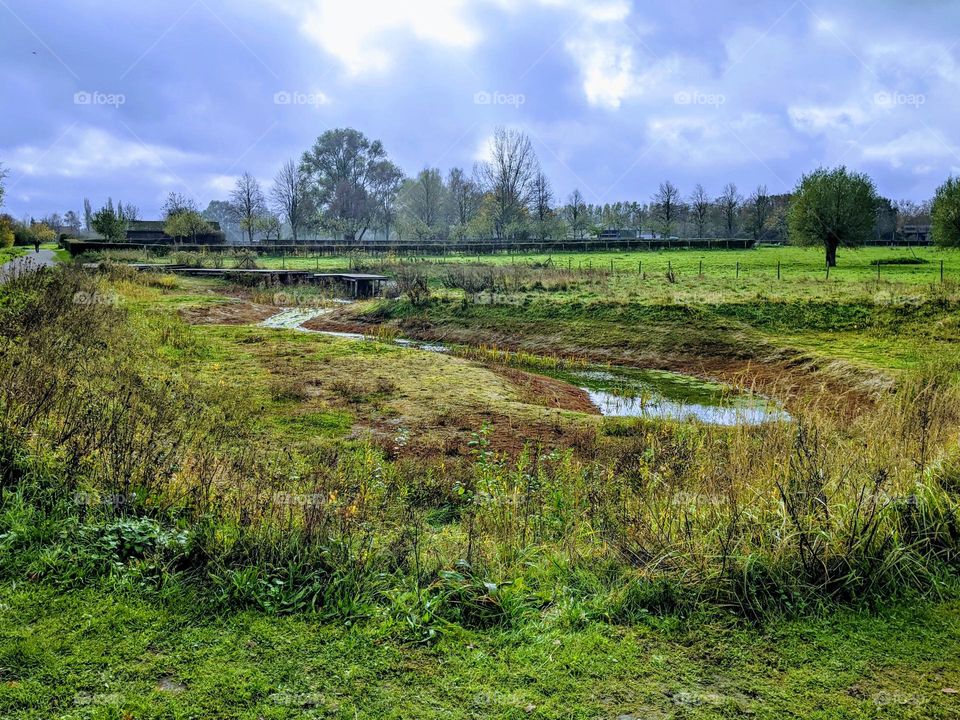 a sustainable drainage system in Bergelen, Belgium, part of the nature reserve to mitigate with climate change