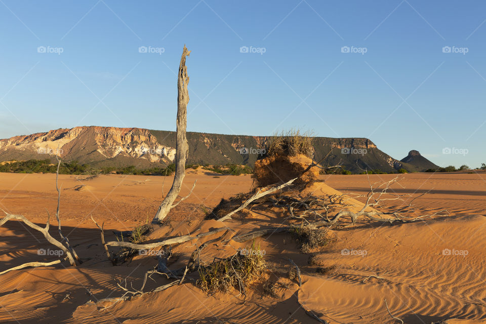 Nature of Brazil - Jalapao State Park in Mateiros Tocantins Brazil.