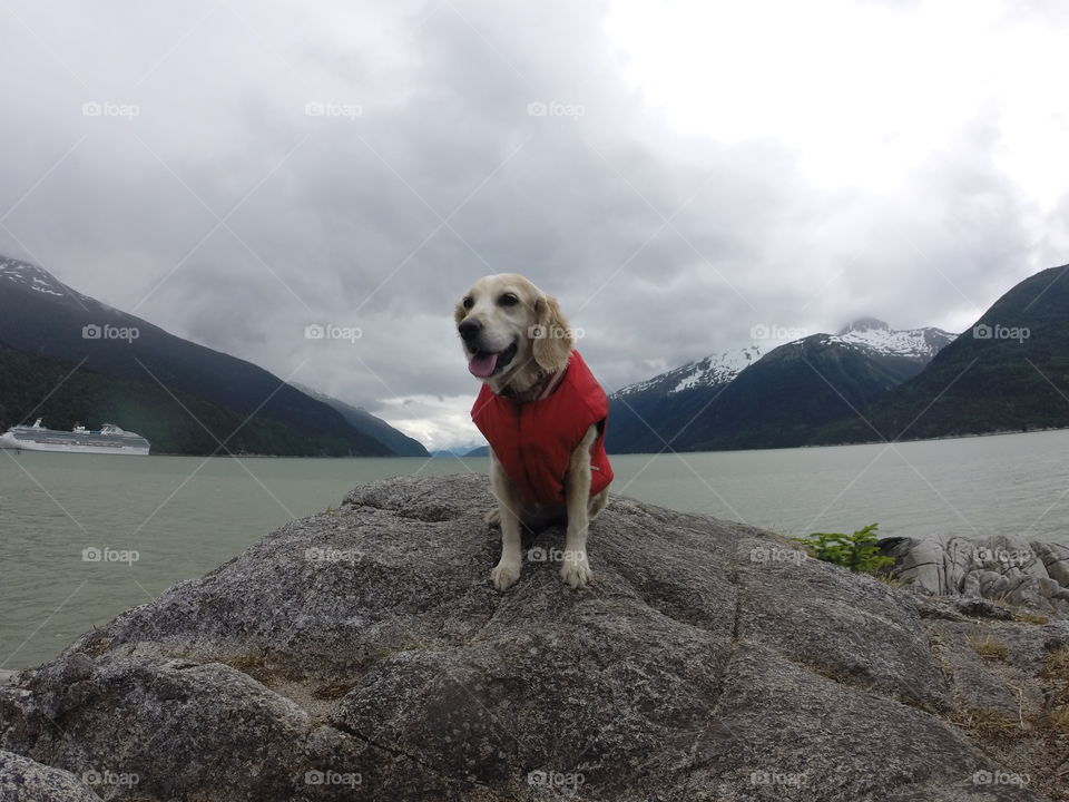 My pup on the top of the world ;-)