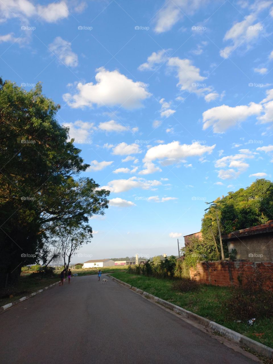 Área arborizada. A arborização,  desempenha diversas funções  importantes nas cidades relacionadas à aspectos: ecológicos,  estéticos  e sociais