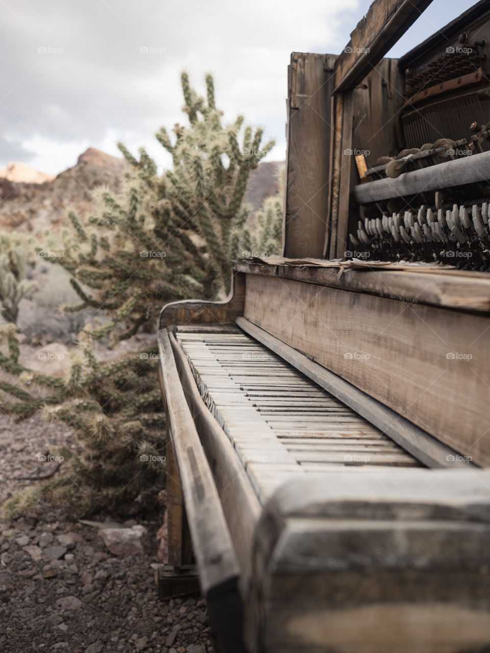 The day the music died. The Nevada desert makes a great backdrop for an old abandoned piano.