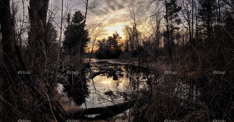 Sunset over a Forest Pond