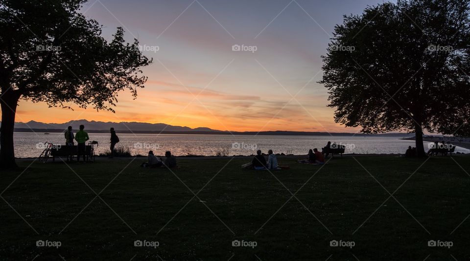 Golden Gardens 