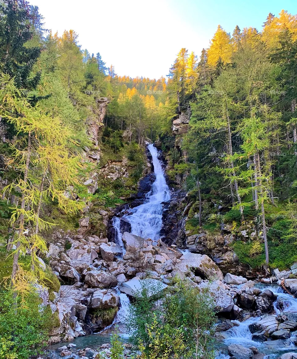 Nature