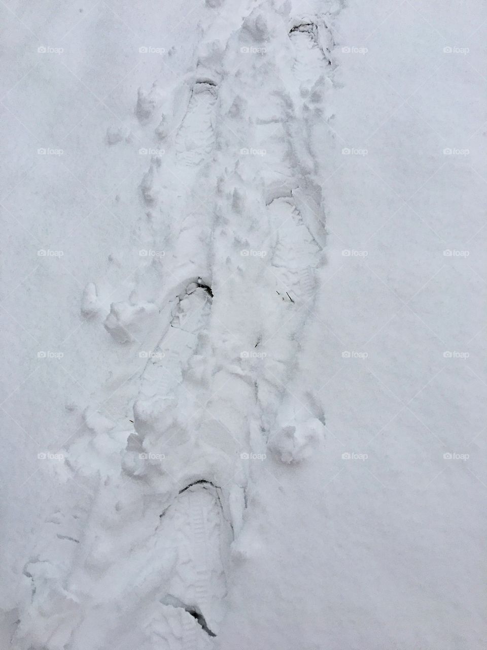 Footprints in the snow