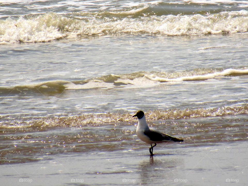 on the beach