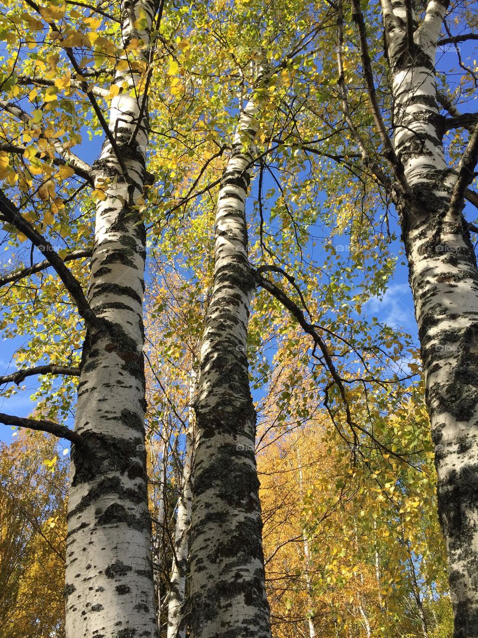 Best of 2021: Nature 