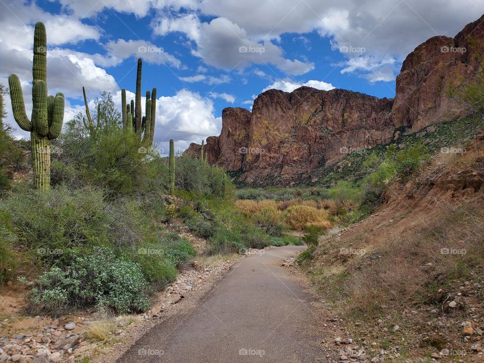 A pathway leads to the Salt River near Phoenix Arizona