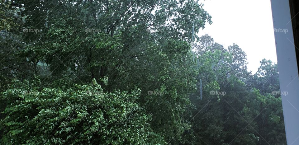 rain and wind in the storm