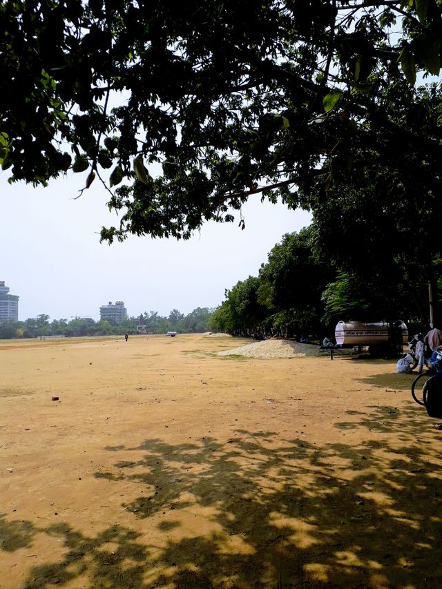 playing field