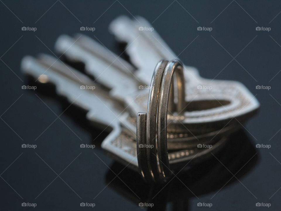 The metal key ring.