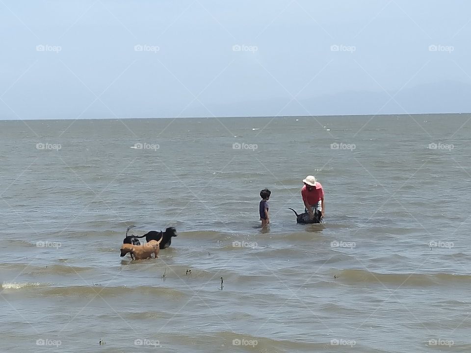 little boy and his father