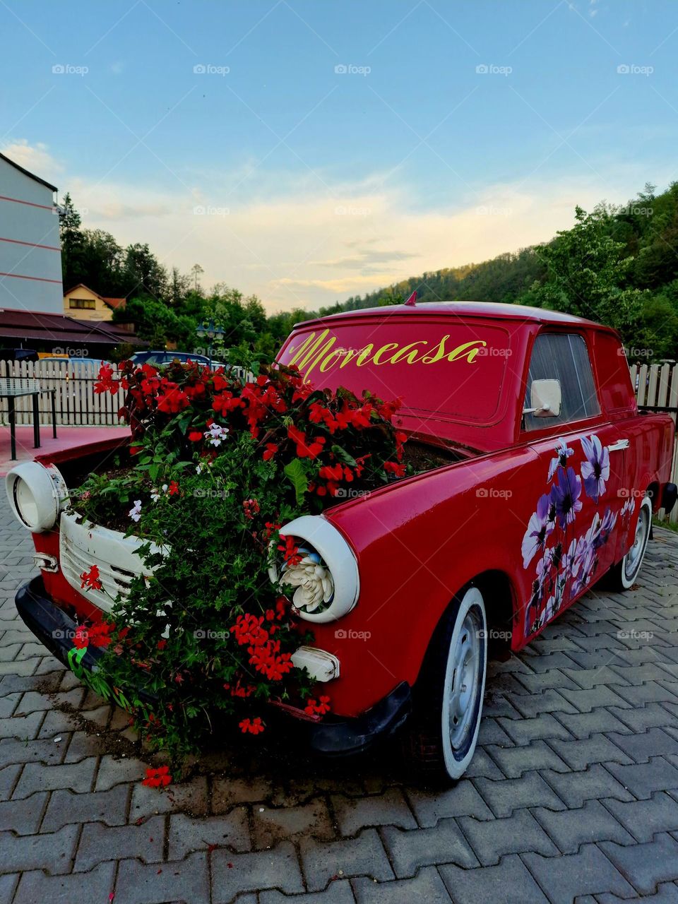 flowers planted in place of the car engine