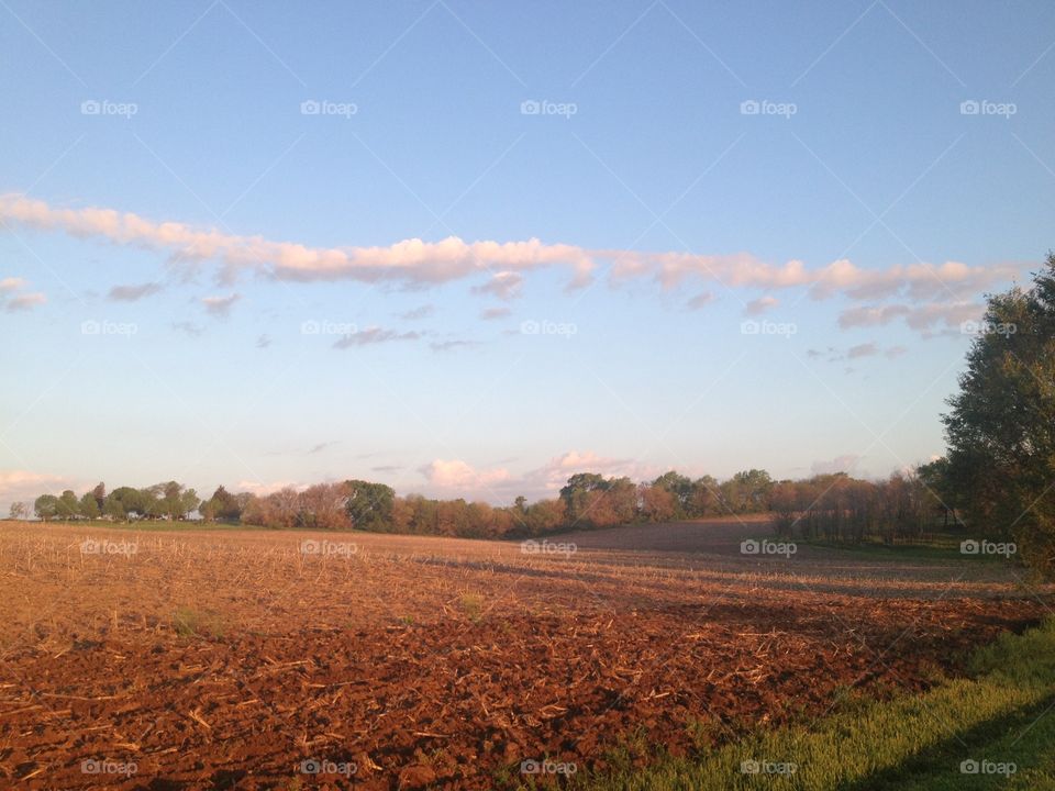 Early Spring Field