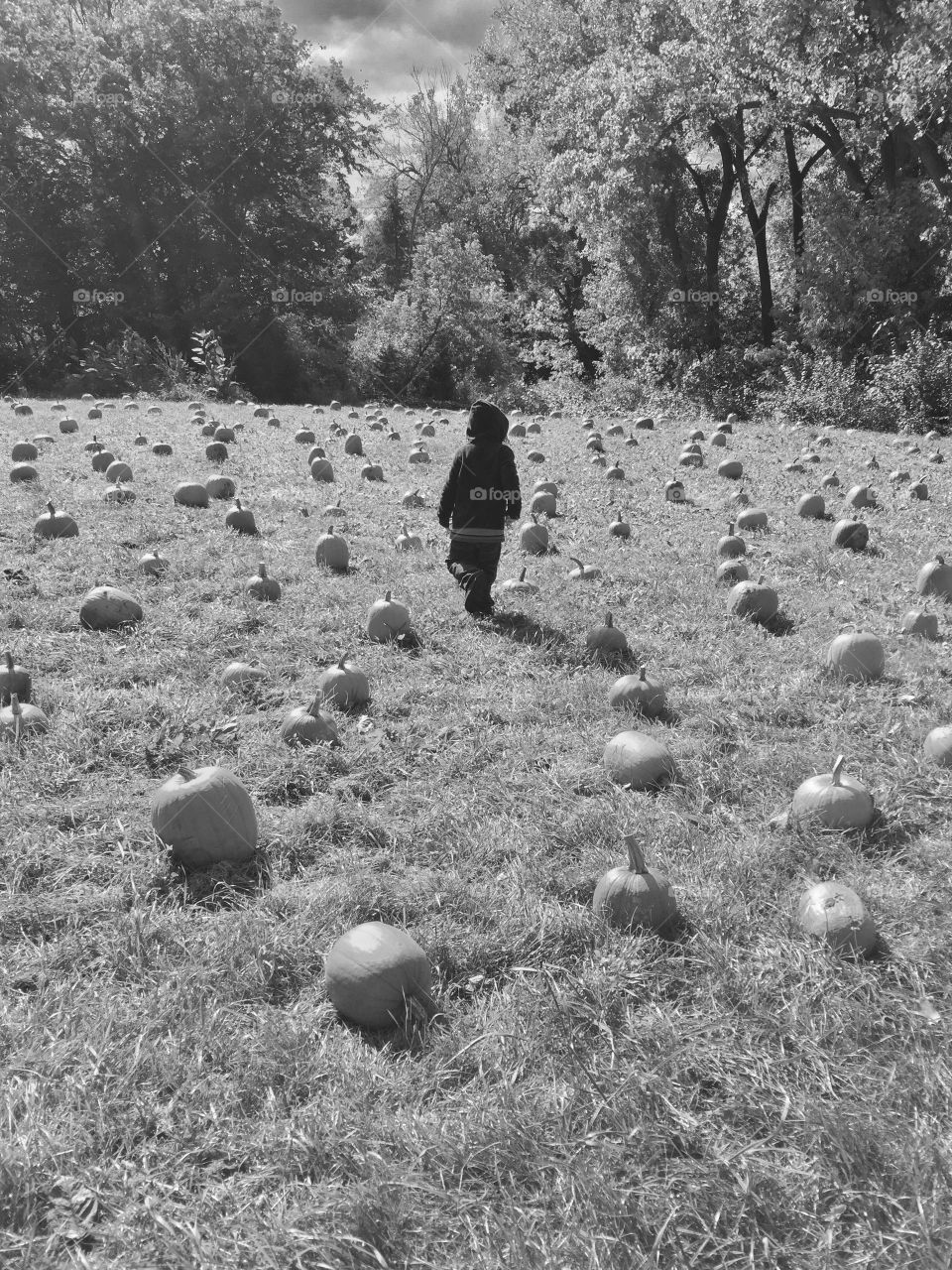 Picking out pumpkins . Day at the farm trying to find the perfect pumpkin