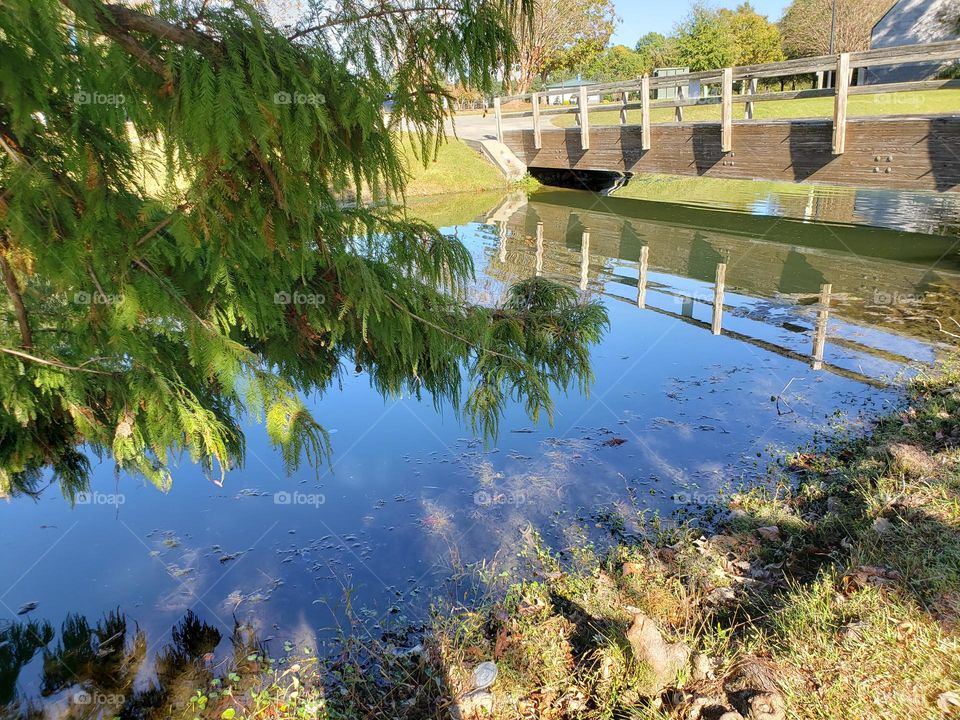 lake in the sky or sky in the lake ? reflection sun