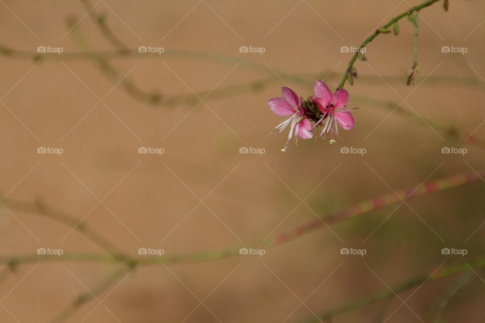 My first time with a real camera