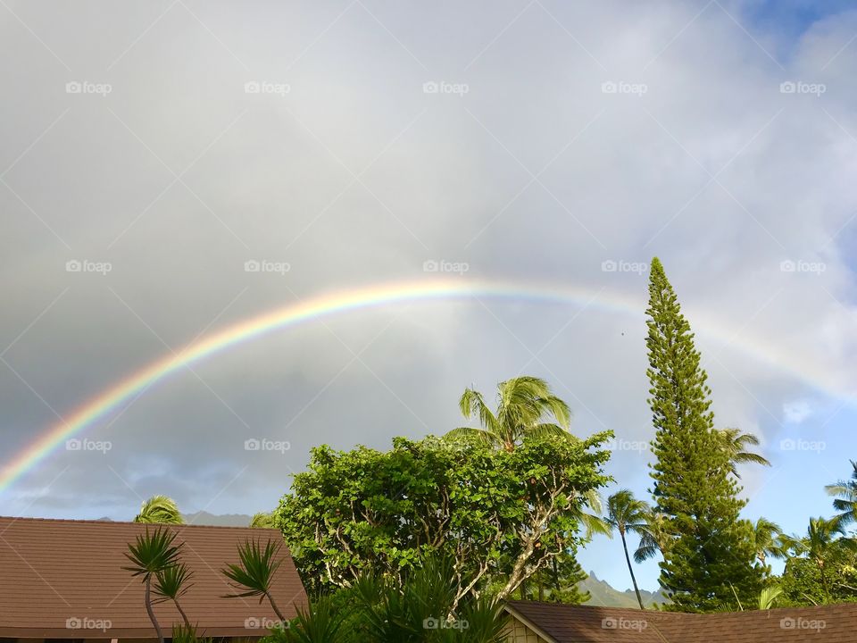 Bright rainbow in Hawaii