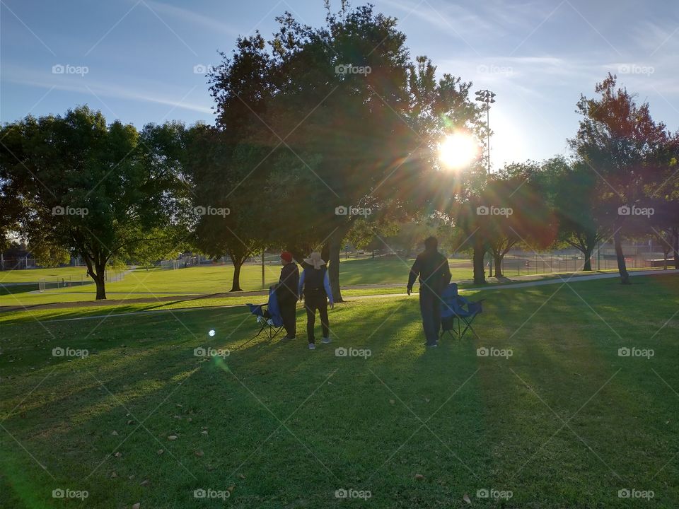 activities in the park