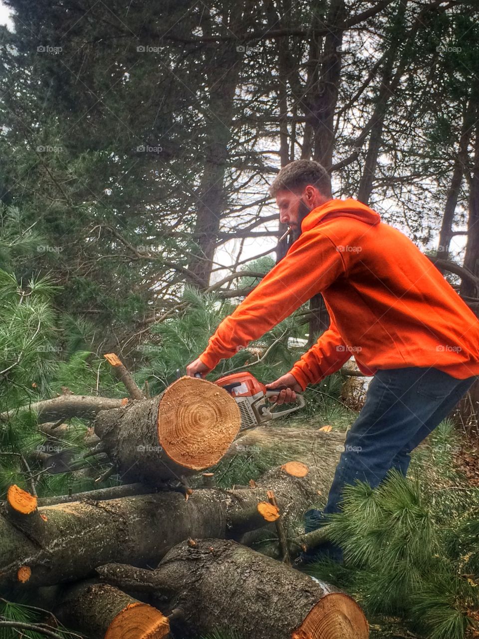 Lumberjack 