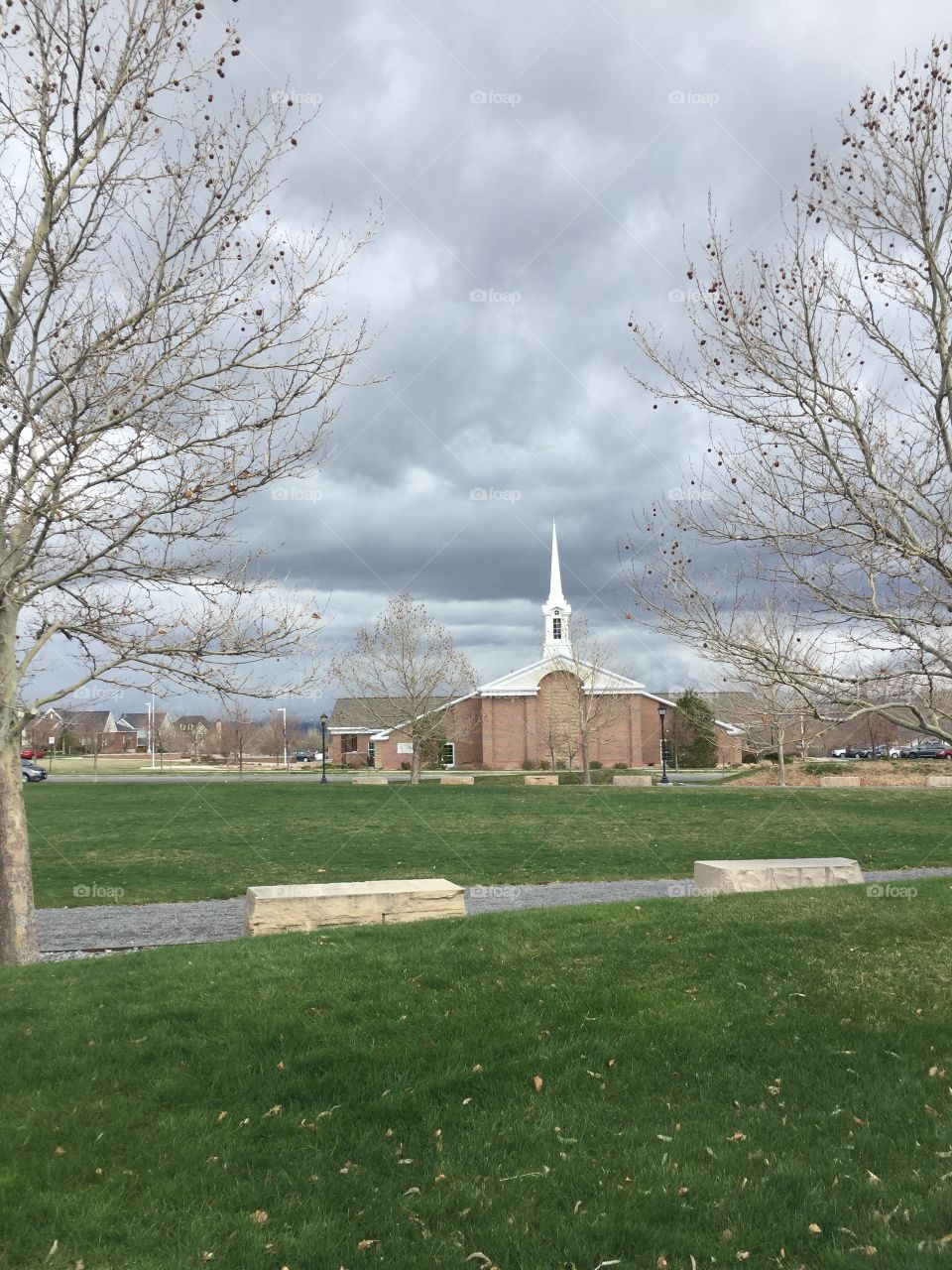 Tree, Branches, Nature, Stormy Weather, Sunshine in Rain. Far Away. Park, Church, Synagogue and Clouds, Trees Frame Church and Sky. 
