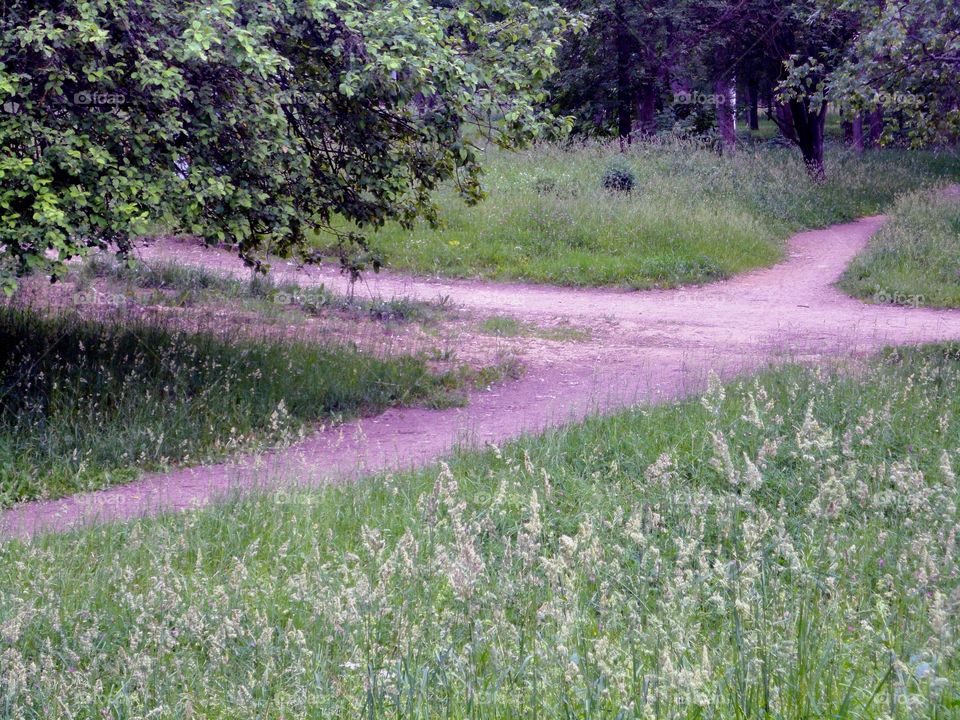 crossroads green landscape in the park symbolism art nature