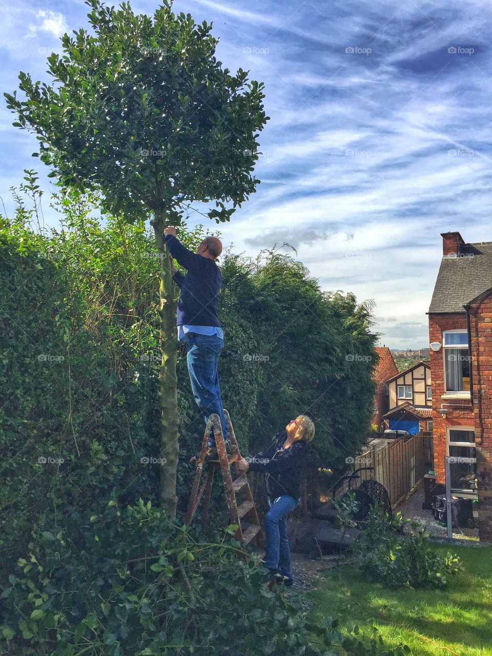 Cutting the tree