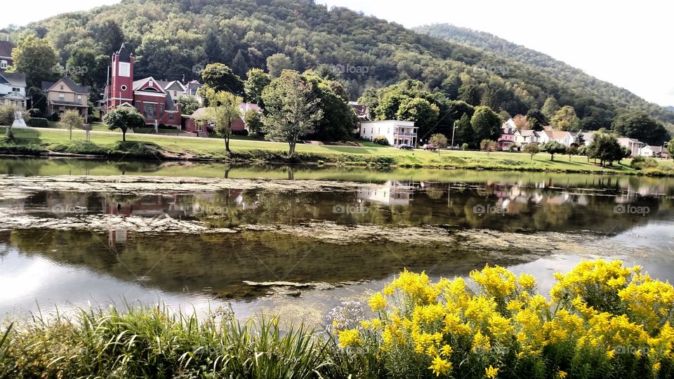 Potter County Scenery