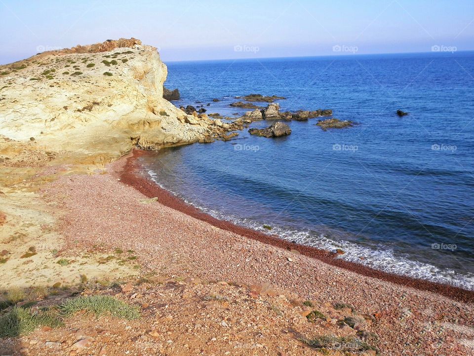 Scenic view of beach