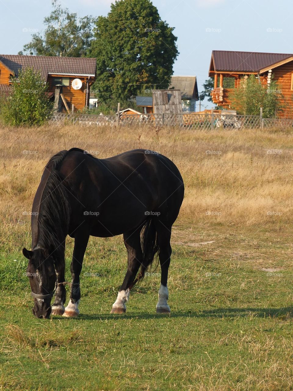 Vacation series : countryside