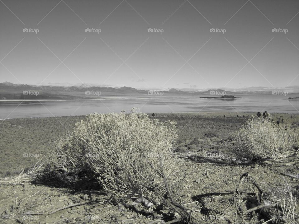 Lake in desert Mountains. Lake in desert Mountains. Shrub vegetation. Grey