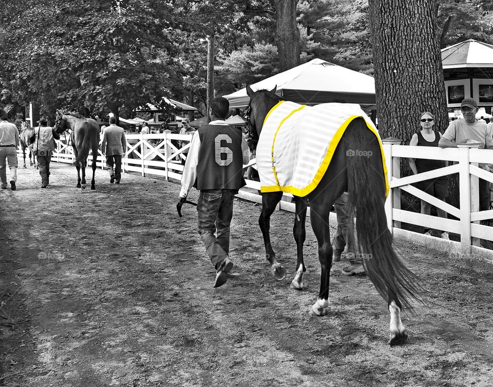 Call to the Post. Tradition and history at historic Saratoga as the horses make their way to the Saratoga paddock. 
Fleetphoto