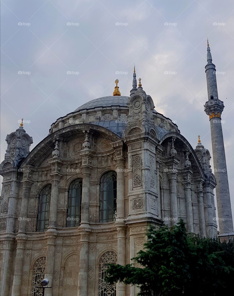 Hello
Please like my pictures and follow me
Thank you