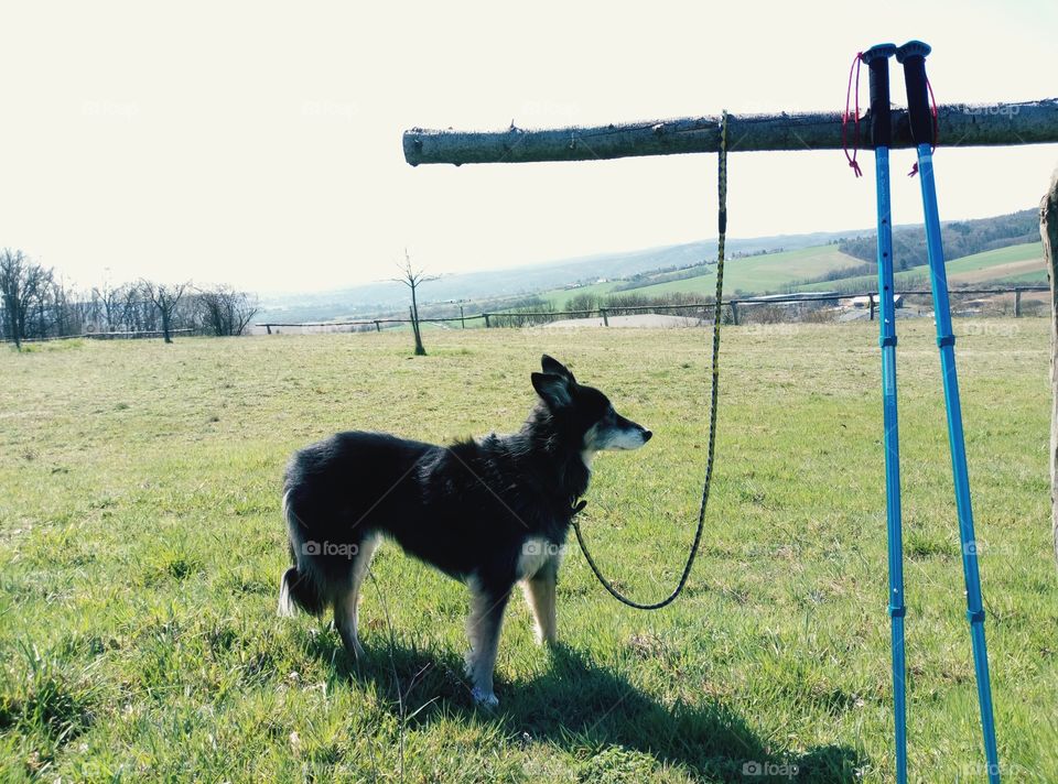 Compagnia di trekking