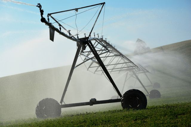 sprinklers watering