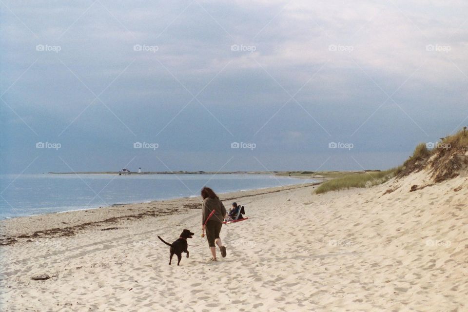 Walking a dog on the beach