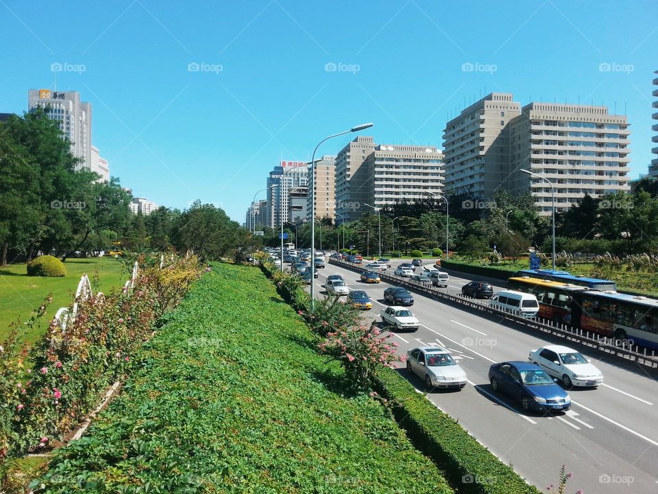 chinese street, modern buildings, warm summer day