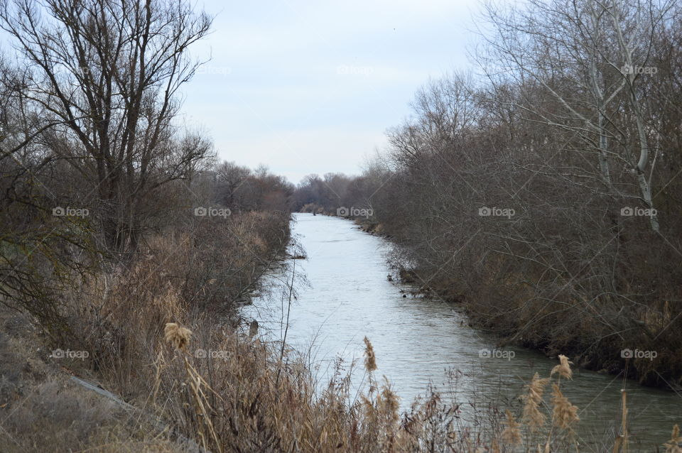 The mountain river near the forest