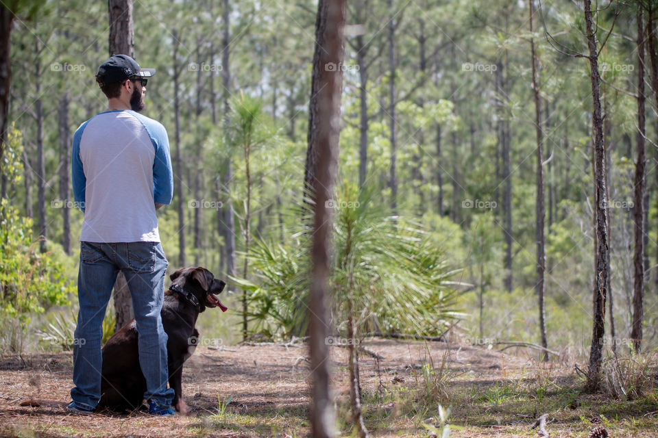 Pet time walk on trail with chocolate lab