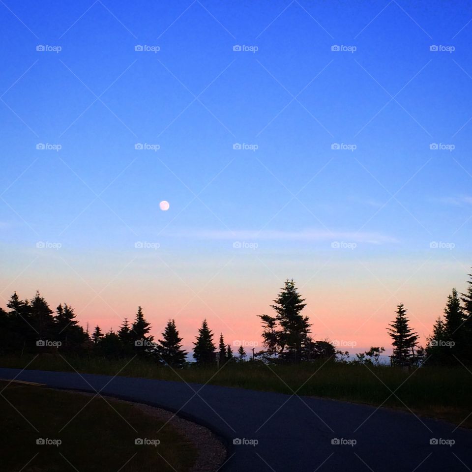 Moonrise in the forest