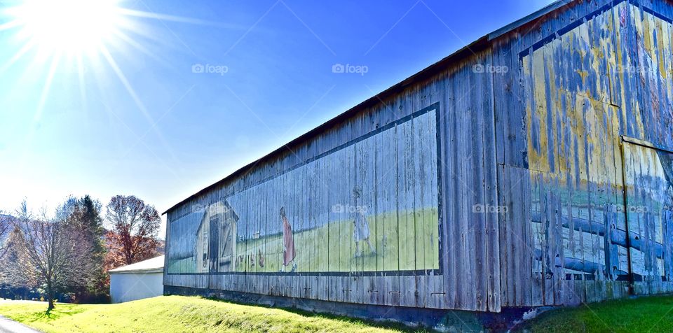 Rays of Sunshine on a Happy Scene